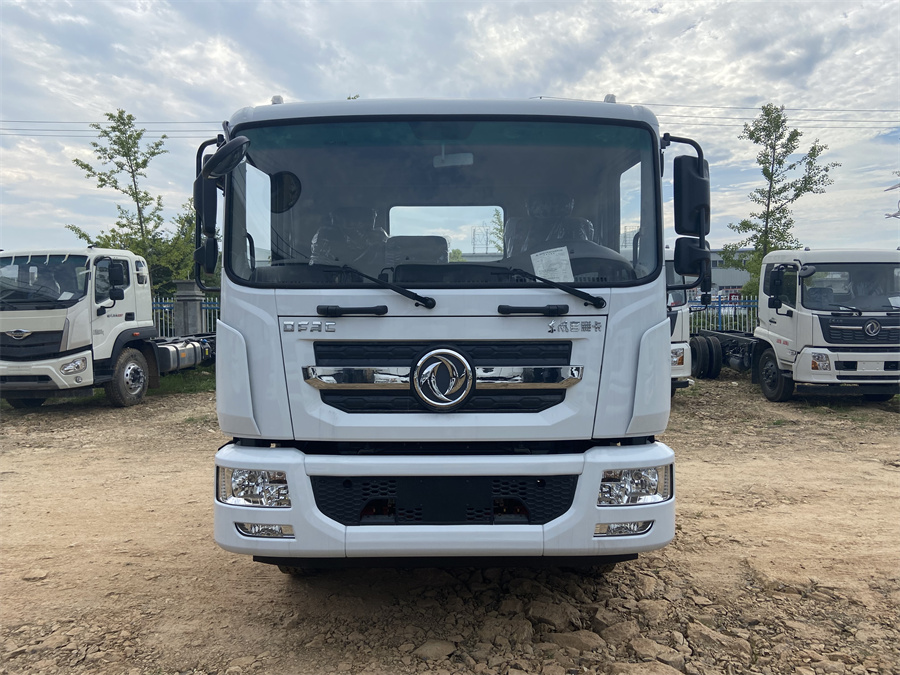 東風(fēng)D9（3950，康明斯230）國(guó)六 內(nèi)飾照片圖