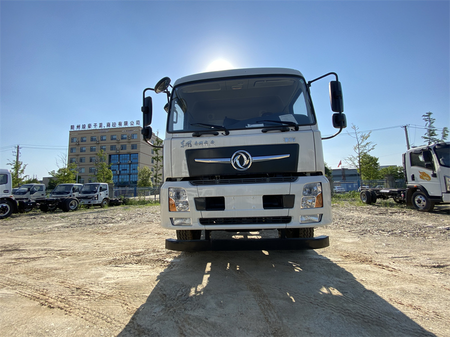 東風(fēng)D3V（后雙橋，康明斯260）國六 內(nèi)飾照片圖